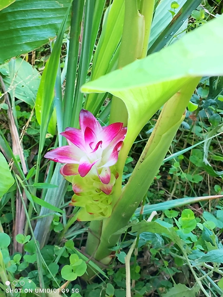 Image uploaded by Millie