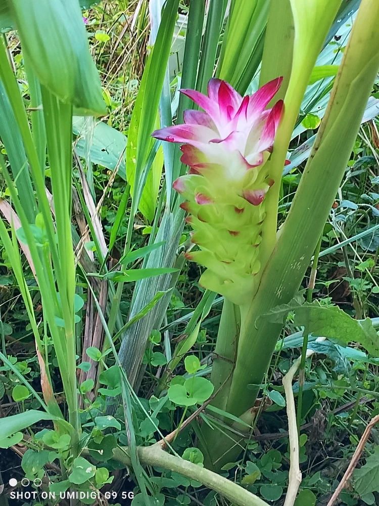 Image uploaded by Millie