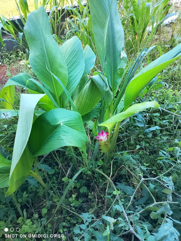 Image uploaded by Millie