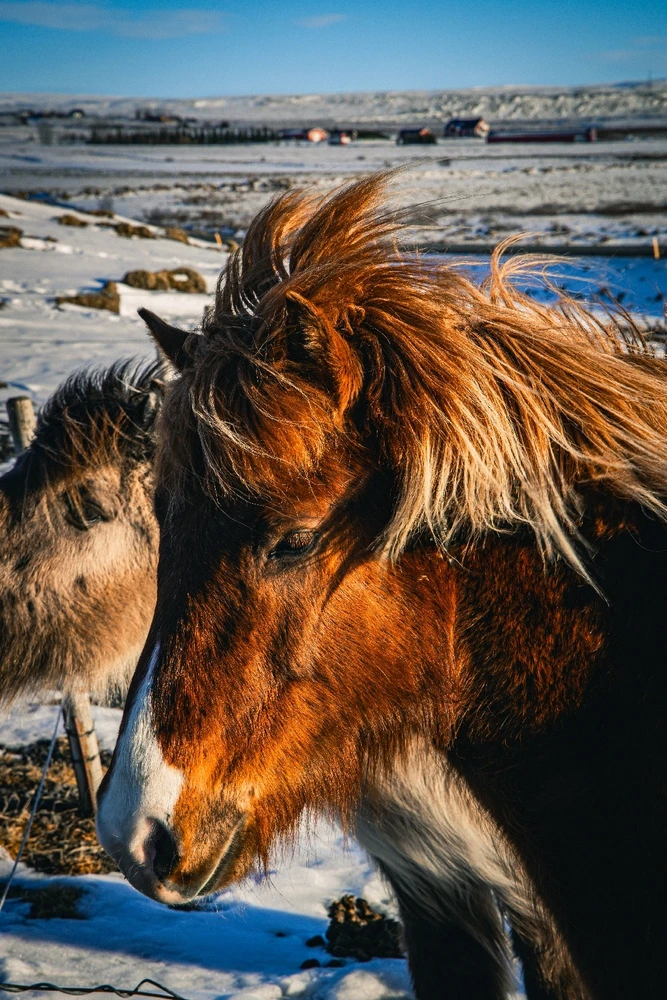 GIF uploaded by Piotr