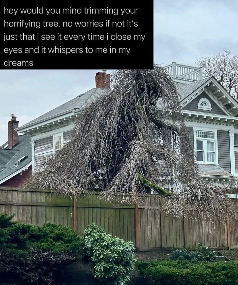 GIF uploaded by 🌙✨ℳℯ𝓁𝒶𝓃𝒾𝓆𝓊ℯ✨🌙