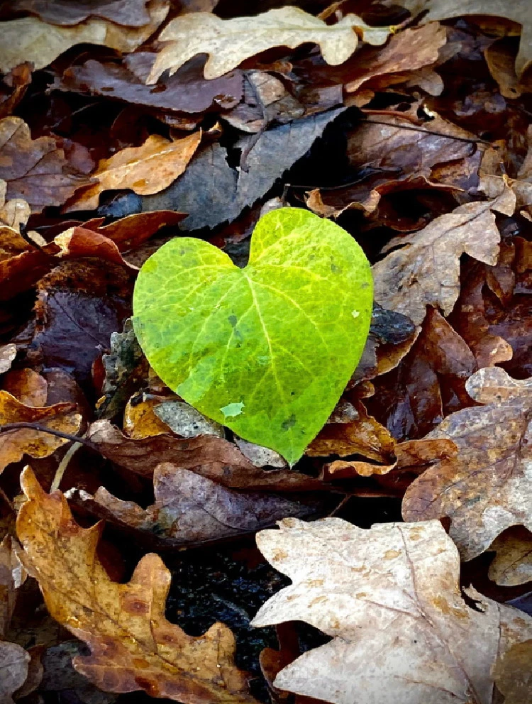 GIF subido por Mikael