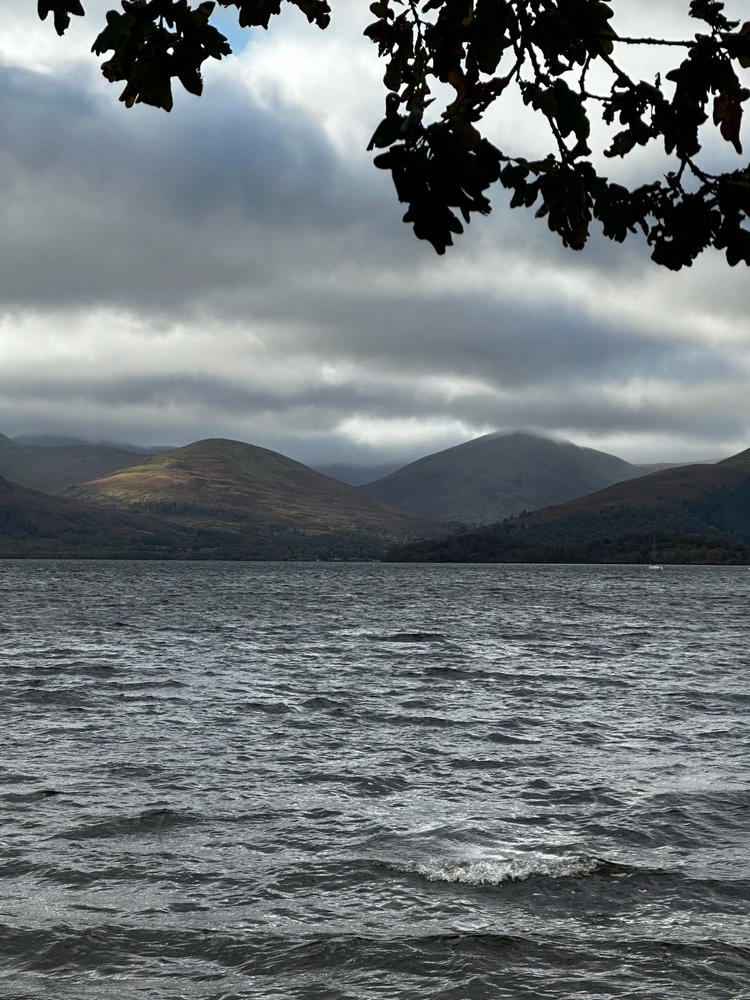 GIF hochgeladen von Benedikt