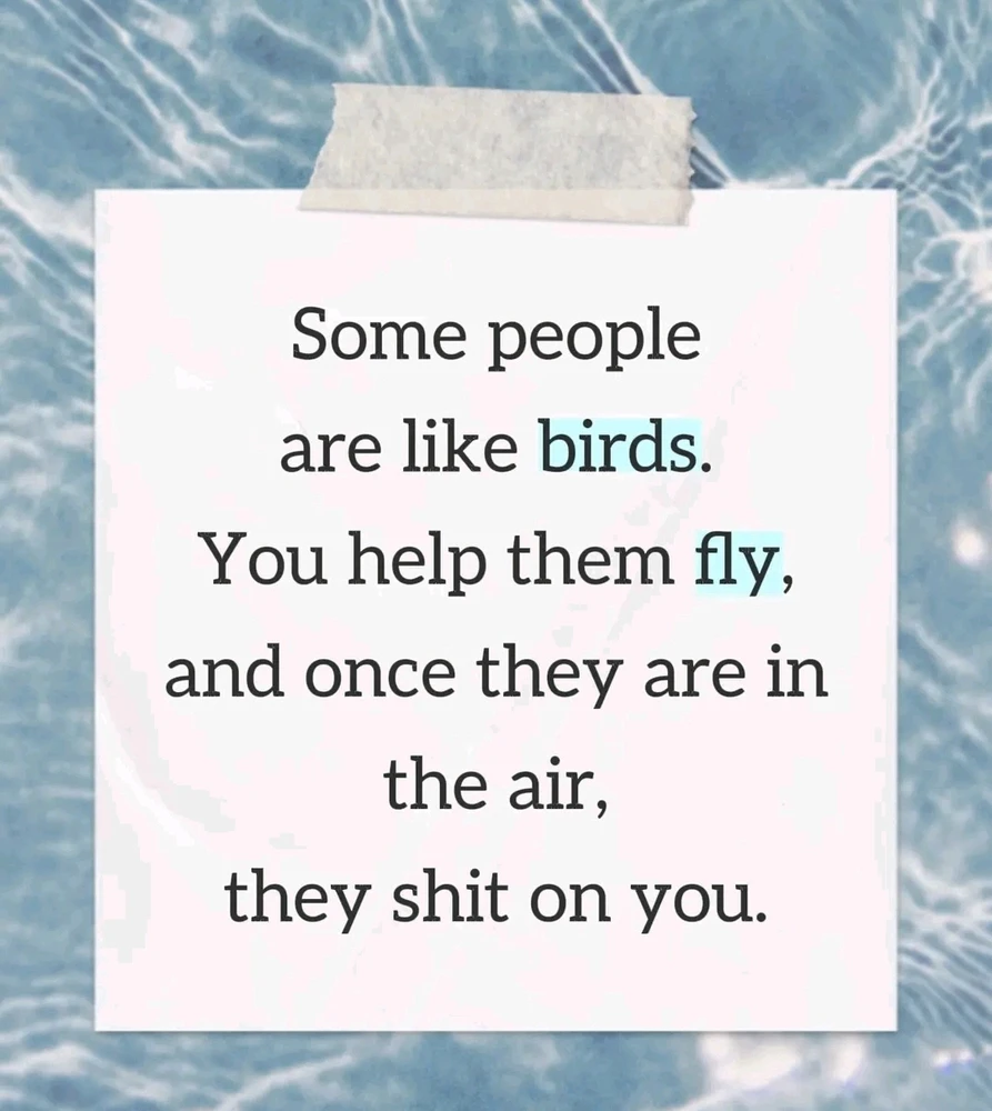 GIF uploaded by Maggie