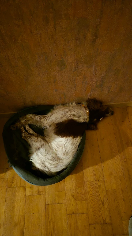 GIF ajouté par Yanaël