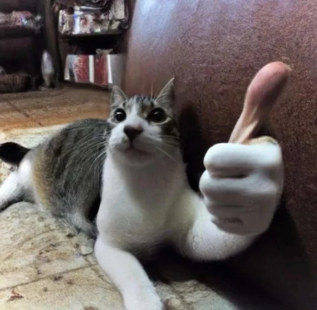 Image uploaded by Sarah