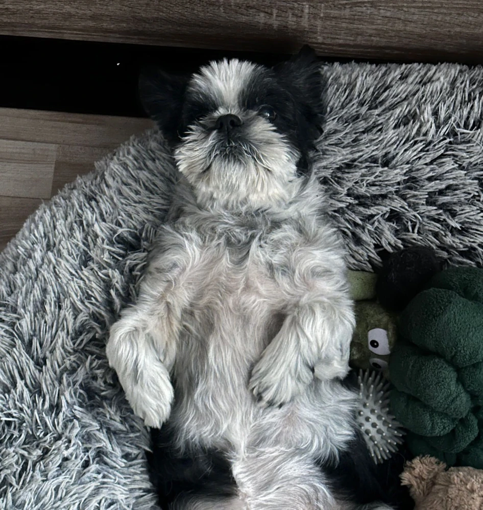 GIF uploaded by Katrina