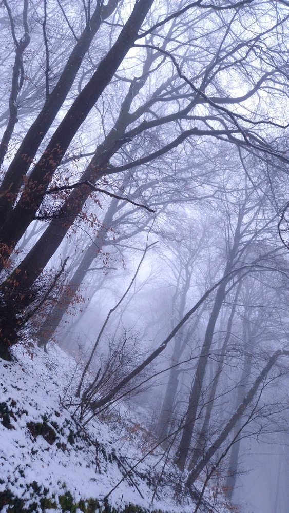 GIF ajouté par Yanaël