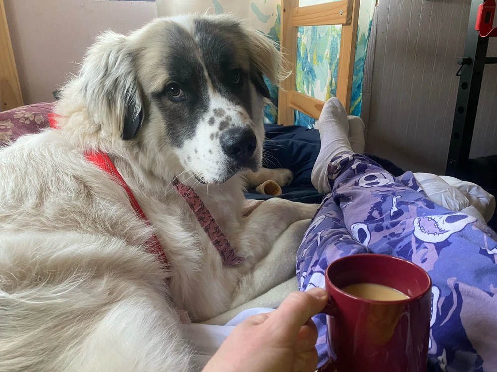 GIF uploaded by Brian