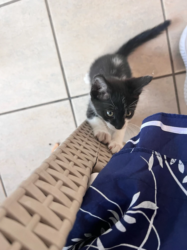 Immagine caricata da Linda