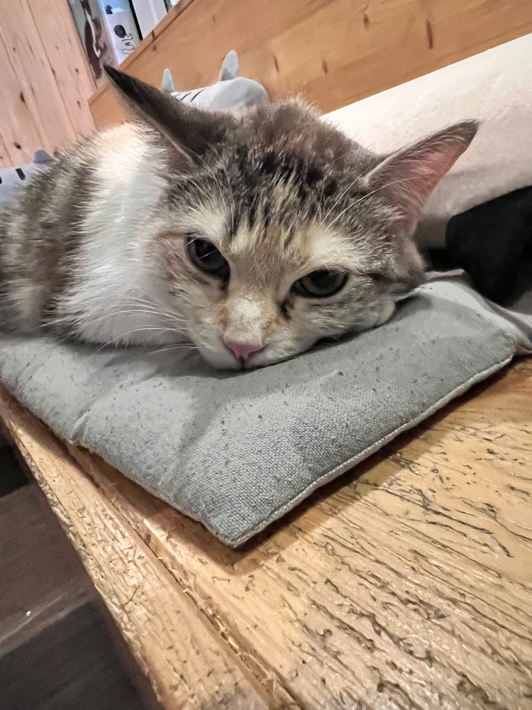 Immagine caricata da Linda