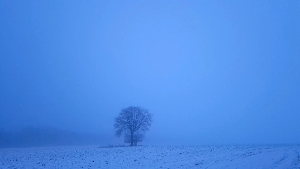 GIF ajouté par Yanaël