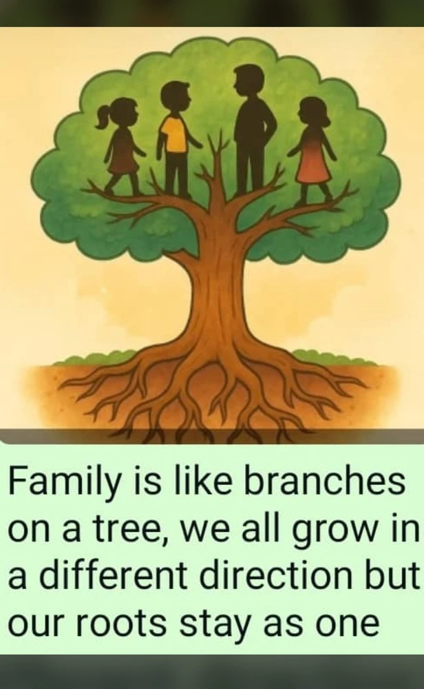 GIF uploaded by Paul