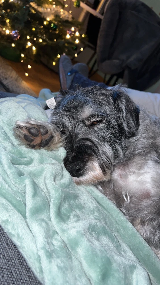 GIF hochgeladen von Leonie