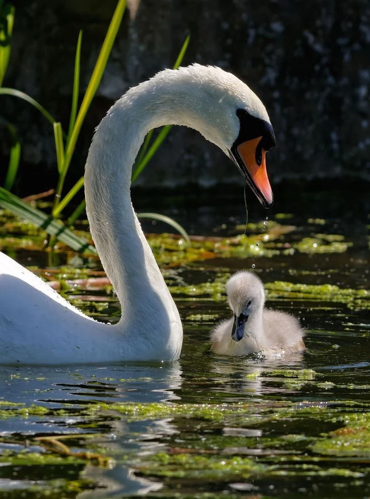 GIF uploaded by Tony Thompson