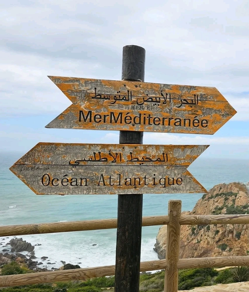 GIF uploaded by Atta