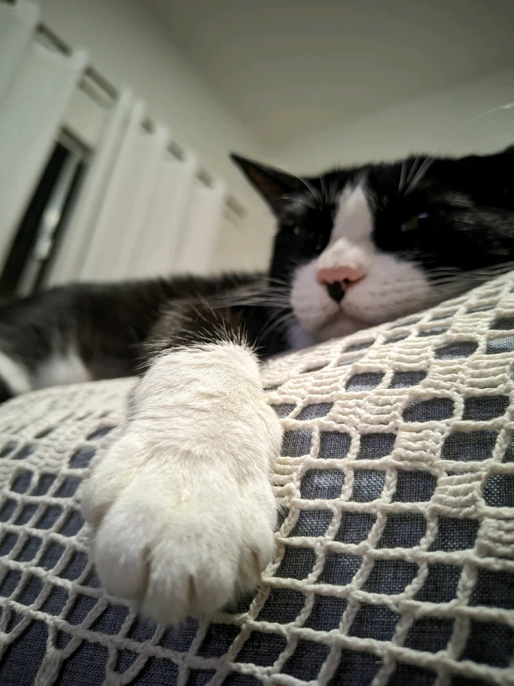 GIF enviado por Erik