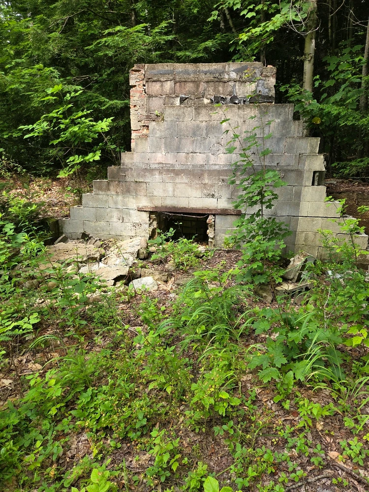 Image uploaded by Kolby