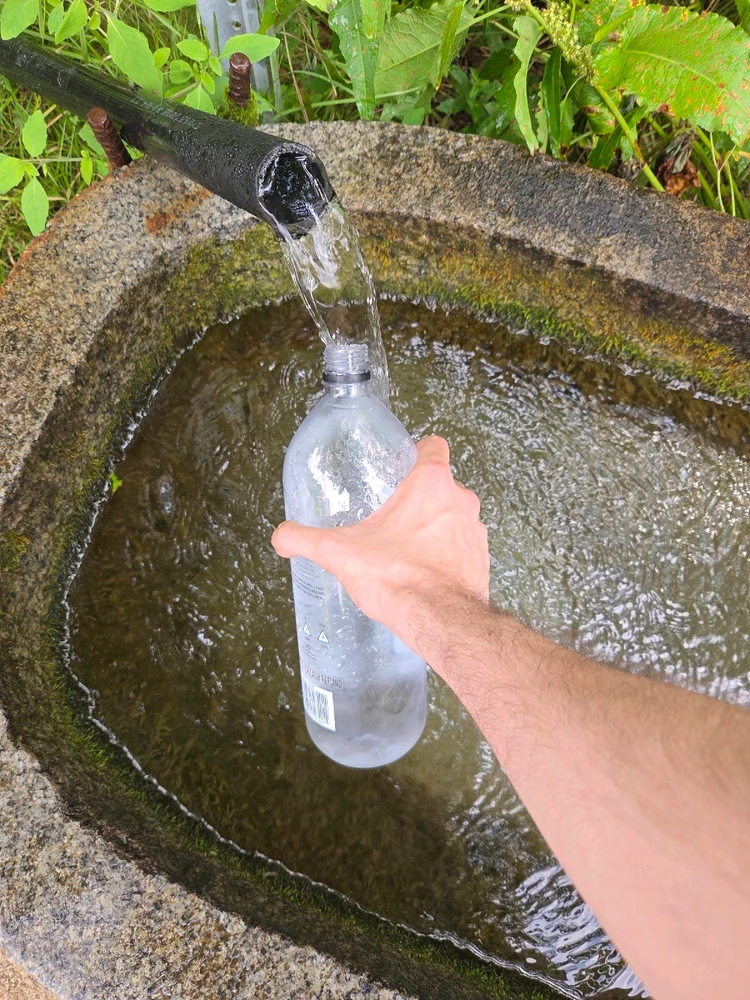 Image uploaded by Kolby