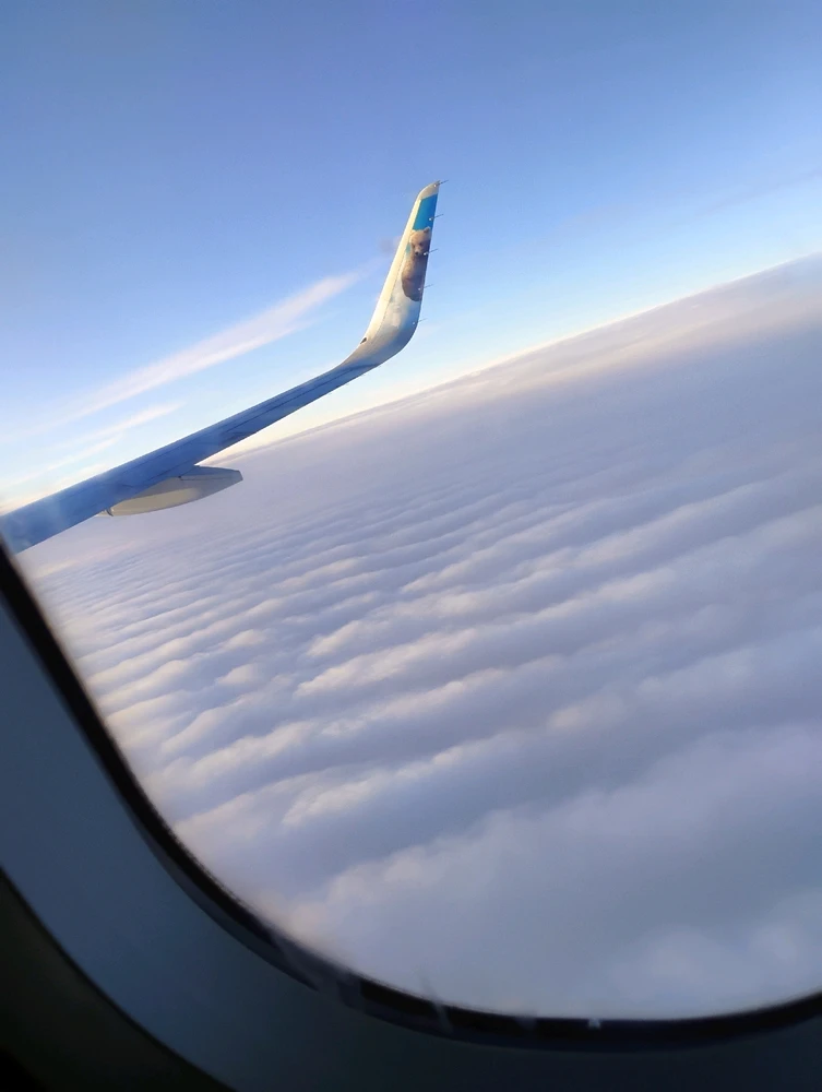 The skies after snow