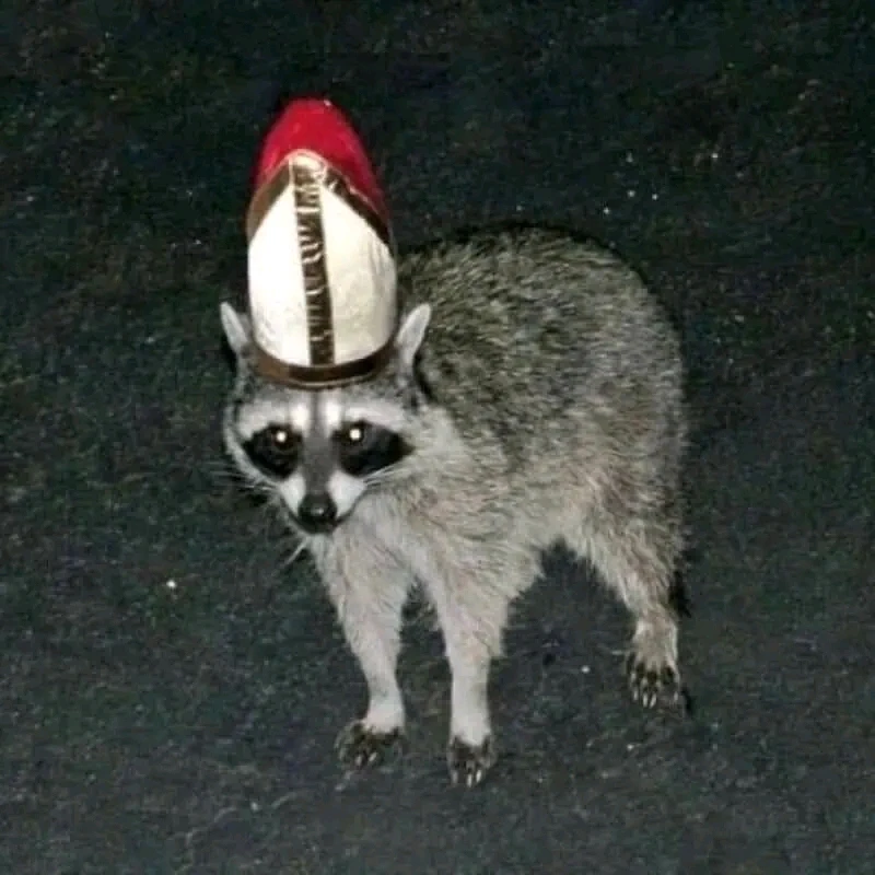 GIF uploaded by 《🌹.::Lenöré::.🌹》