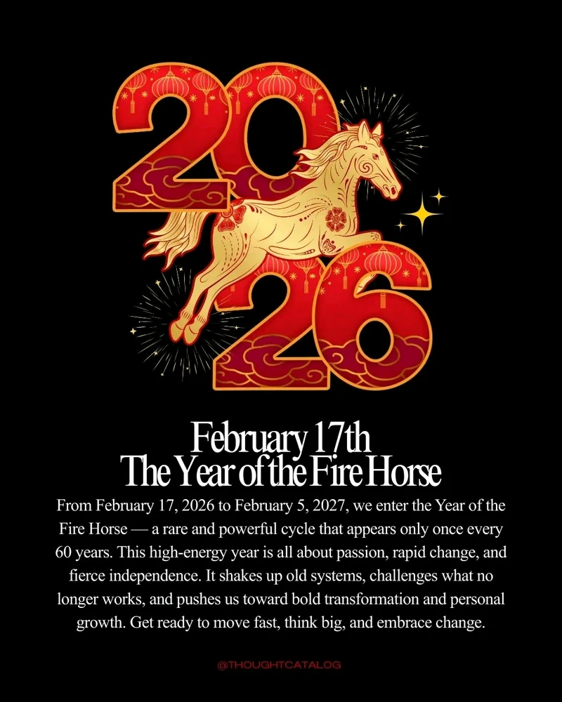 GIF uploaded by ❤ Sophia aka Mango Mami ❤️