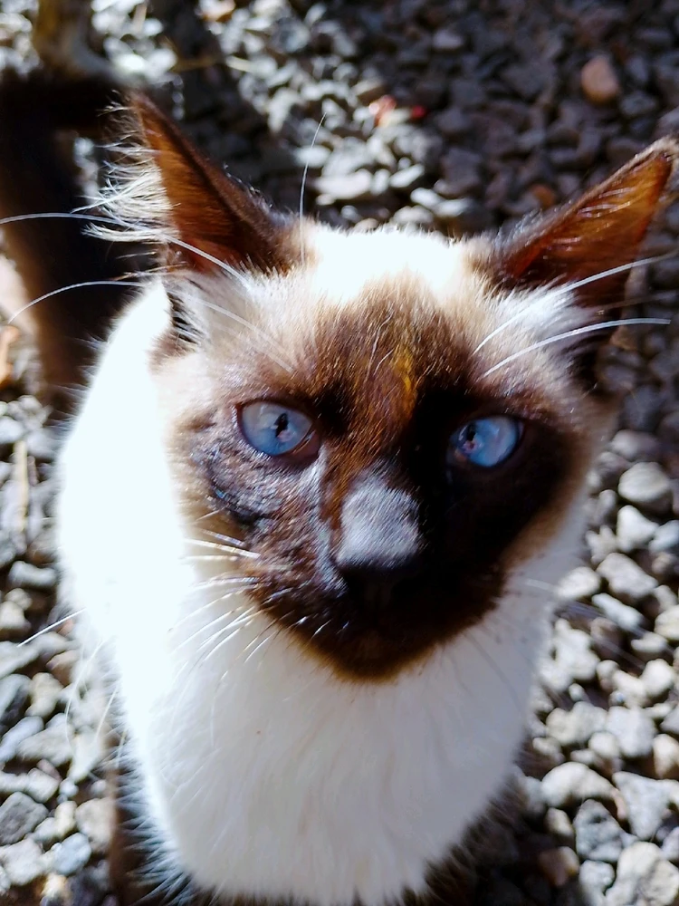 GIF enviado por Tones