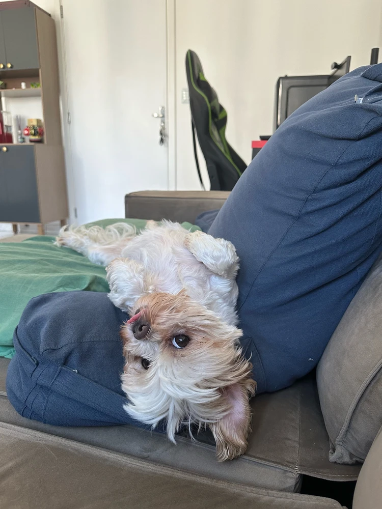 GIF enviado por Ramon