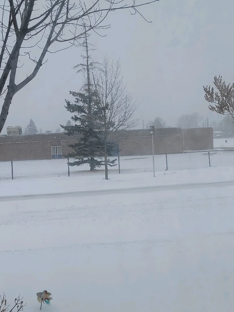 GIF uploaded by HelenaH