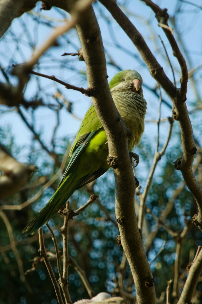 GIF ajouté par Oriane