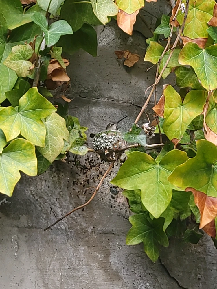 GIF uploaded by Kaelan