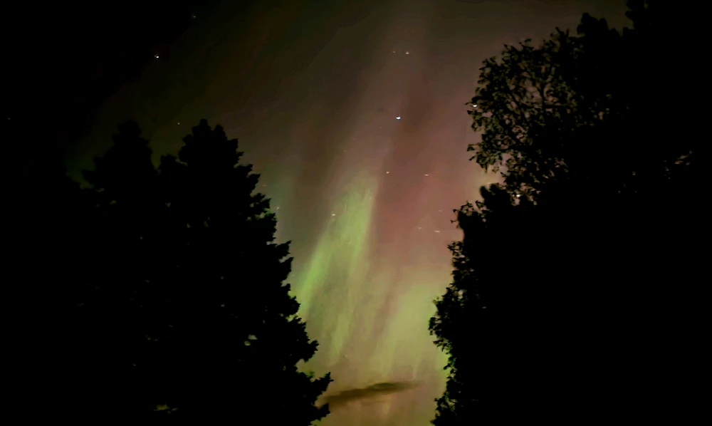 Image uploaded by Will