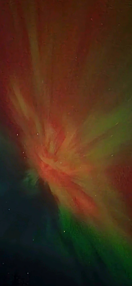 Image uploaded by Will