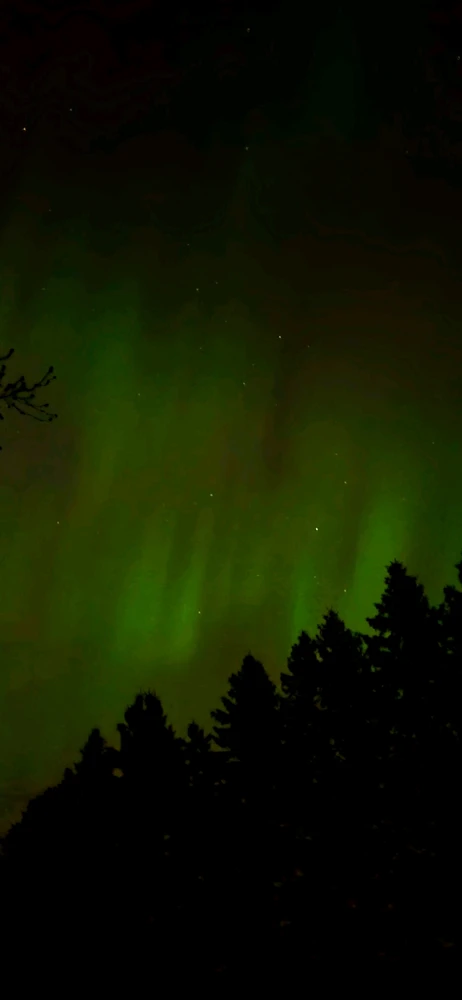 Image uploaded by Will