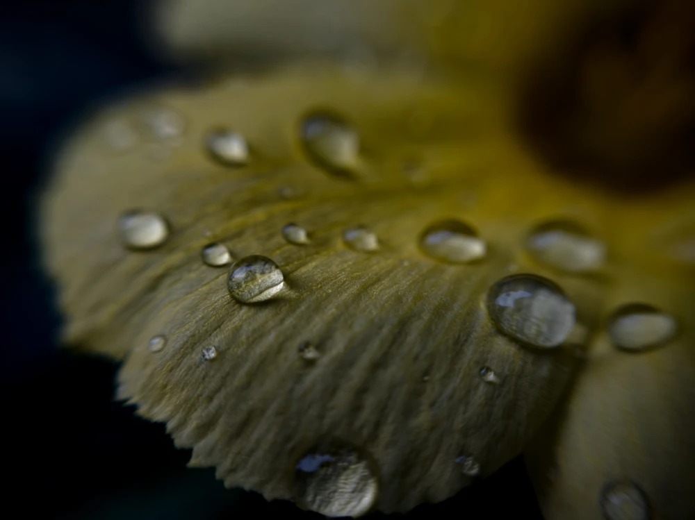 GIF diunggah dening Heraldo