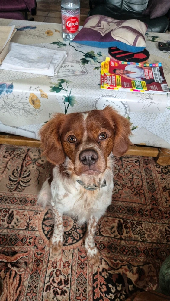 GIF ajouté par Yanaël