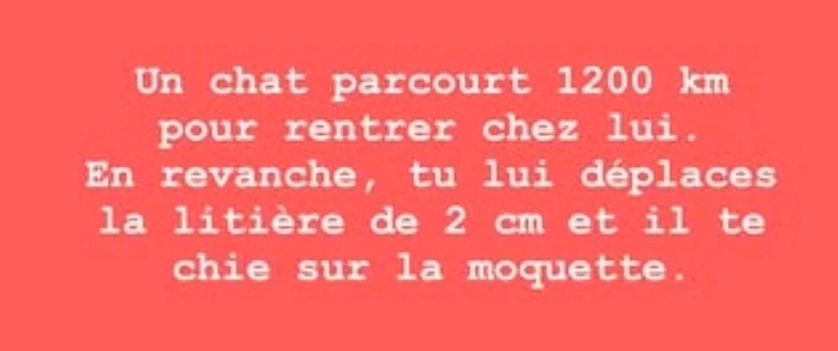 GIF ajouté par Steven