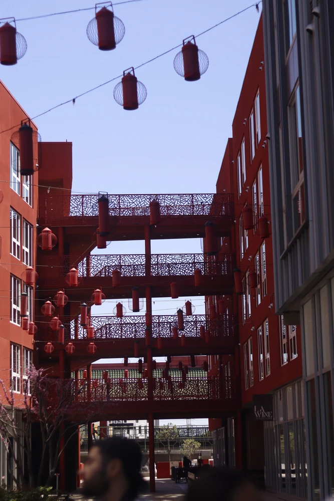 Image uploaded by Ivan