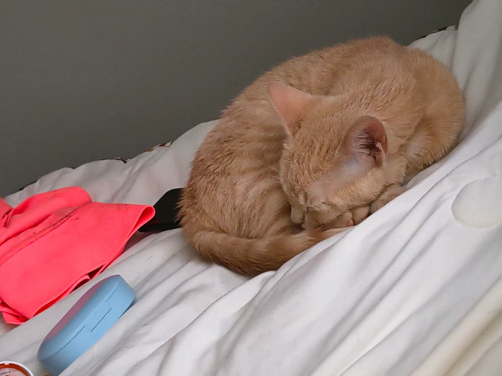 GIF uploaded by Austin