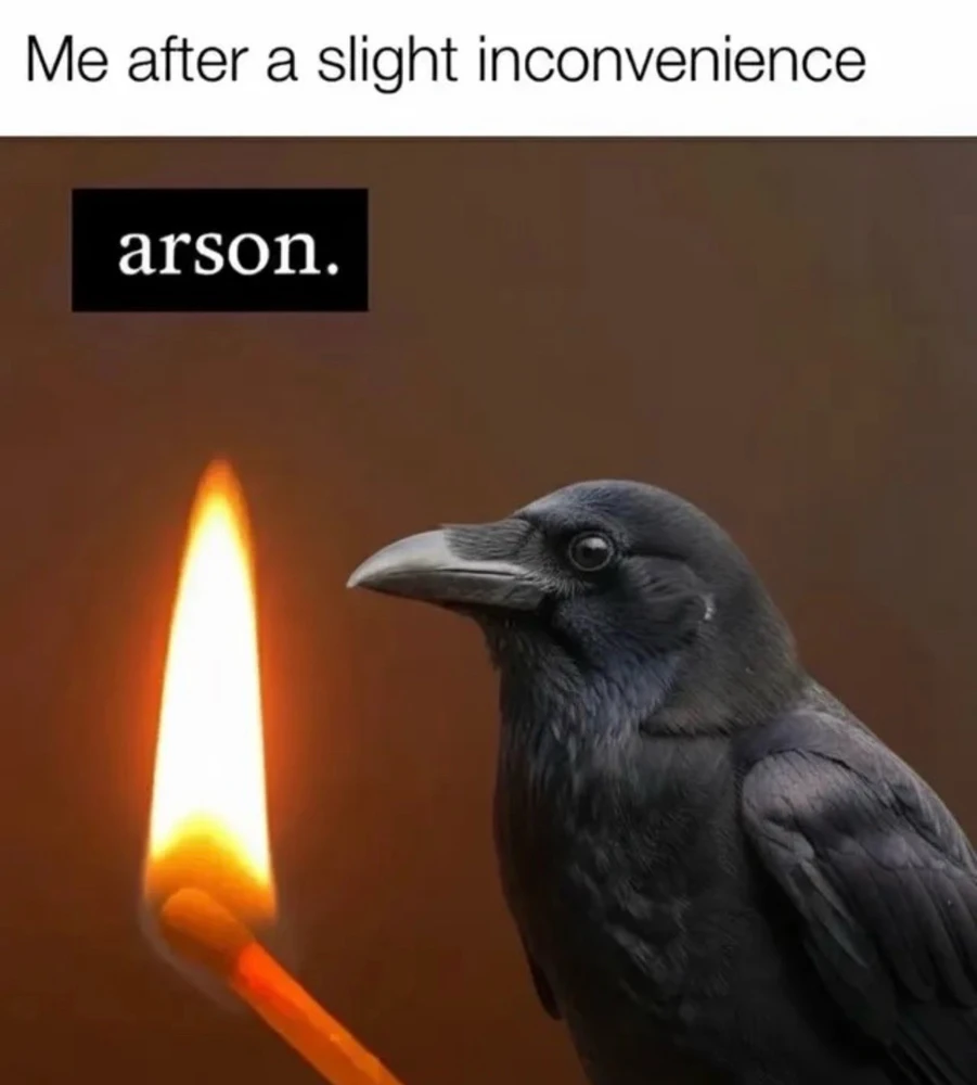 GIF uploaded by Stephen