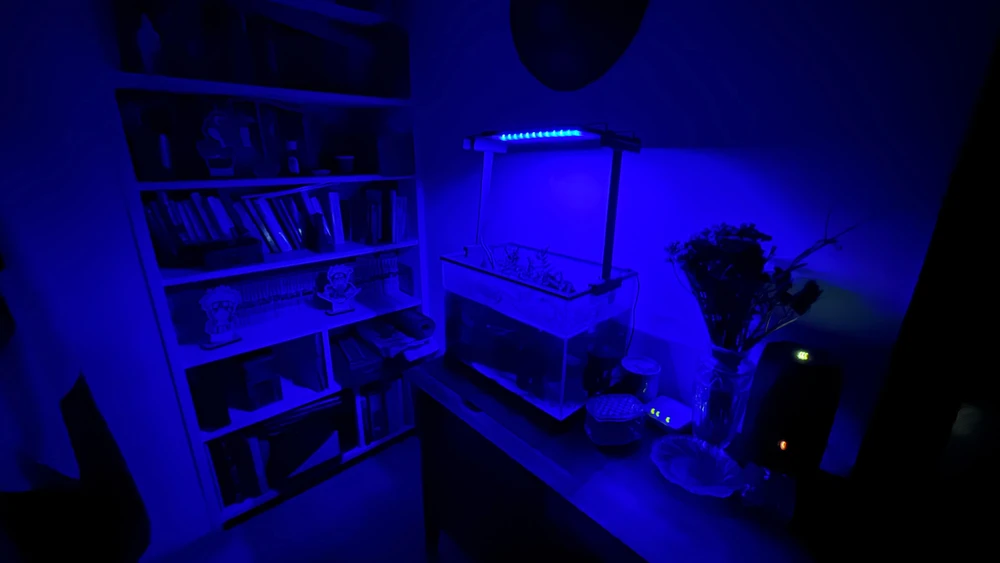 GIF caricata da Massimiliano