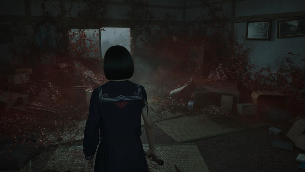 Image uploaded by Nikala