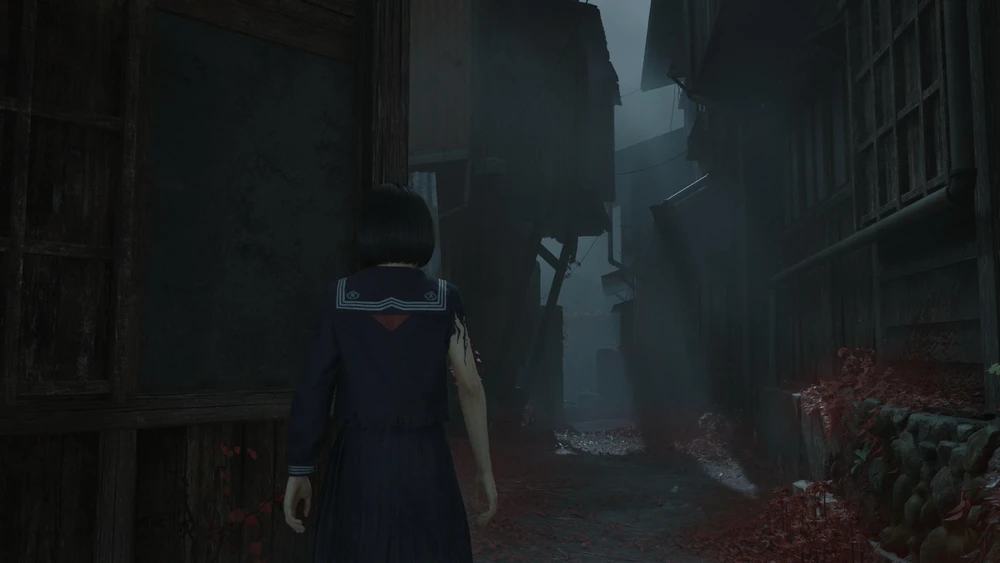 Image uploaded by Nikala