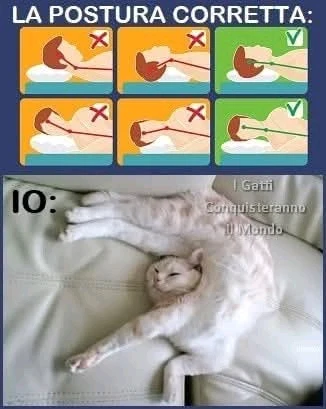 GIF caricata da Sara