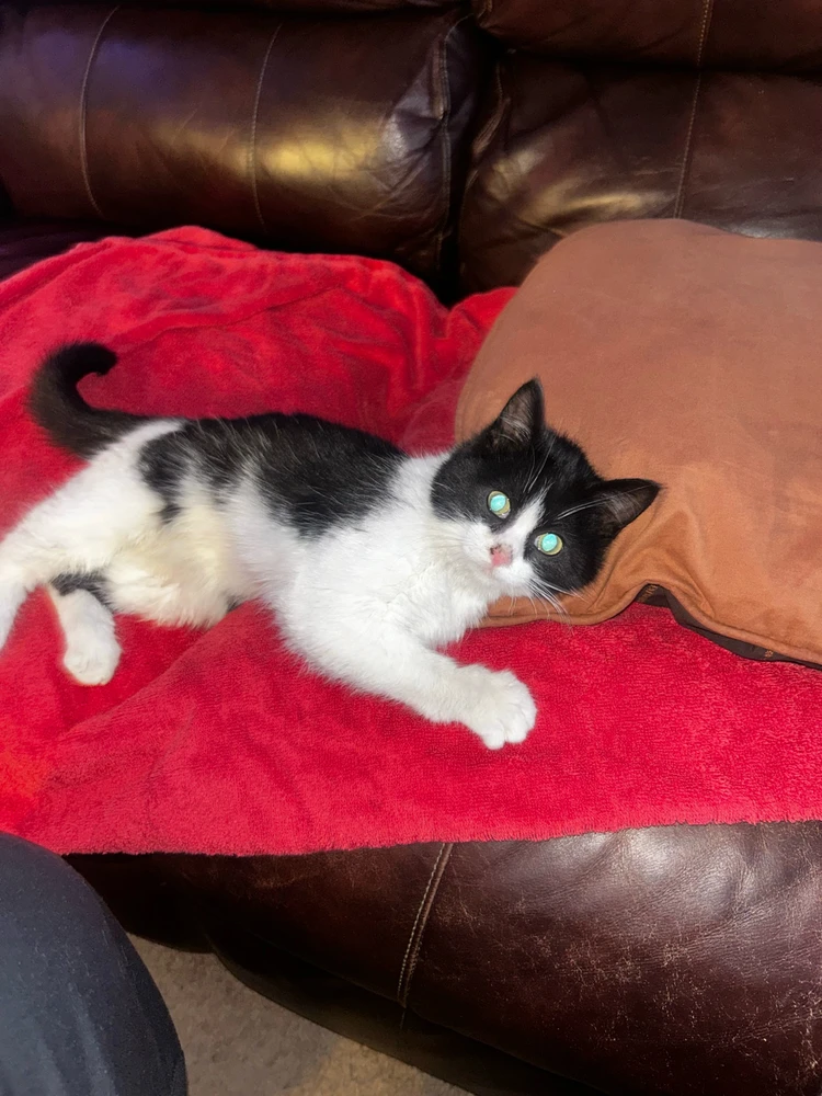 Image uploaded by Aaron