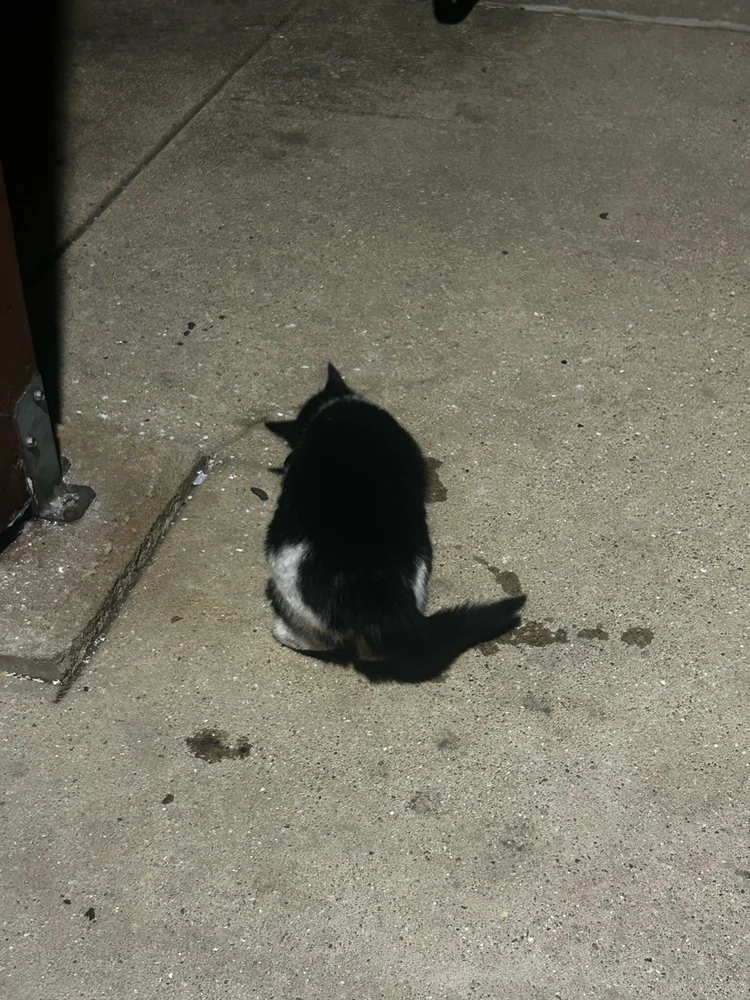 Image uploaded by Aaron