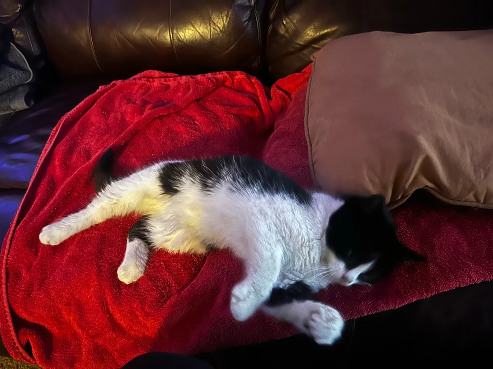 Image uploaded by Aaron