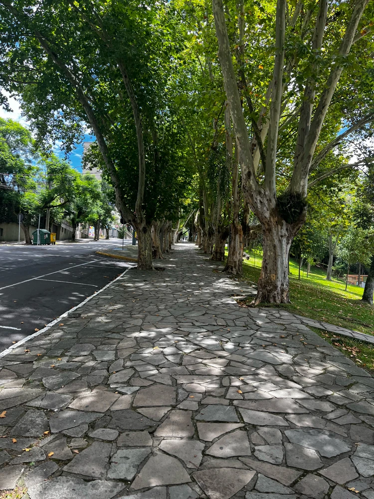 GIF uploaded by Alceu