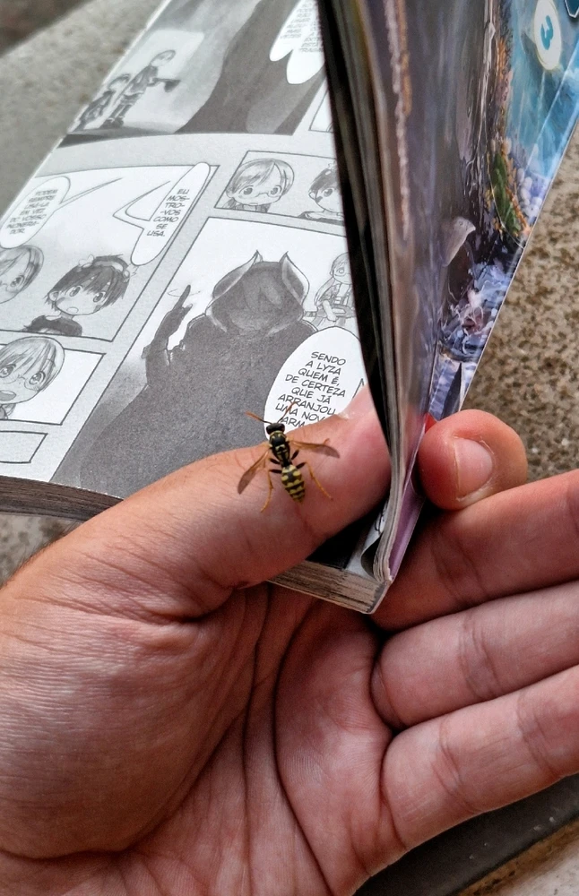 Imagem enviada por Cristóvão