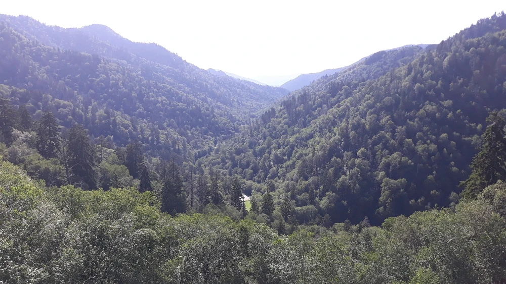 Image uploaded by Elijahwan